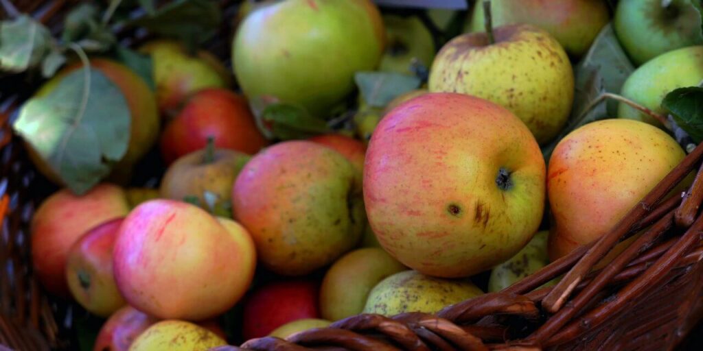 rostos almalé télire lehulló almából